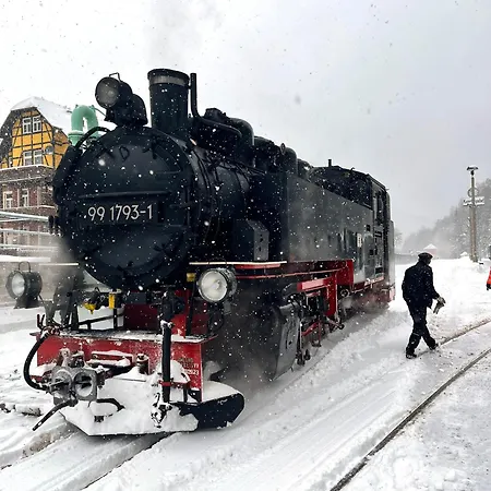 Дом отдыха Waldhaus Zur Kleinbahn Glashutte (Saxony)