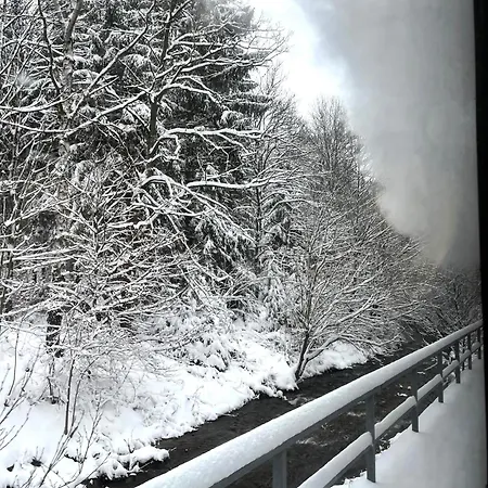 Waldhaus Zur Kleinbahn Дом отдыха Glashutte (Saxony)