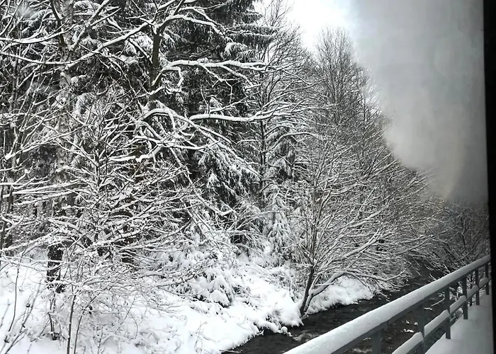 Waldhaus Zur Kleinbahn Σπίτι διακοπών Glashutte (Saxony)